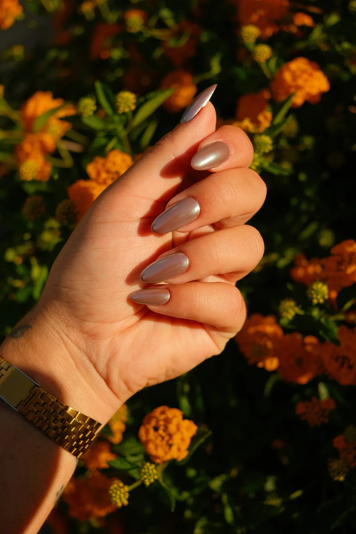 A hand with long almond nails in pearl-grey chrome and a gold watch at the wrist, held up against a bed of orange marigolds in low sun